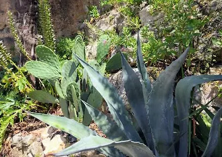 Les Hauts De - D'hotes 3* 多姆