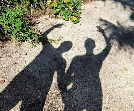 Les Hauts De - D'hotes 3* Domme