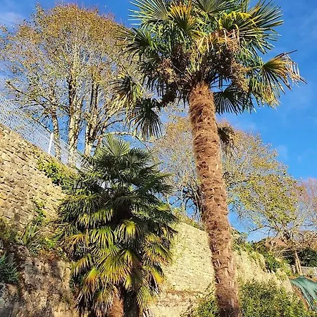 Les Hauts De - D'hotes Oda ve Kahvaltı 3*
