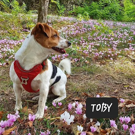 Les Hauts De - D'hotes 多姆