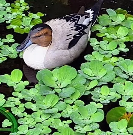 Les Hauts De - D'hotes 3* Domme
