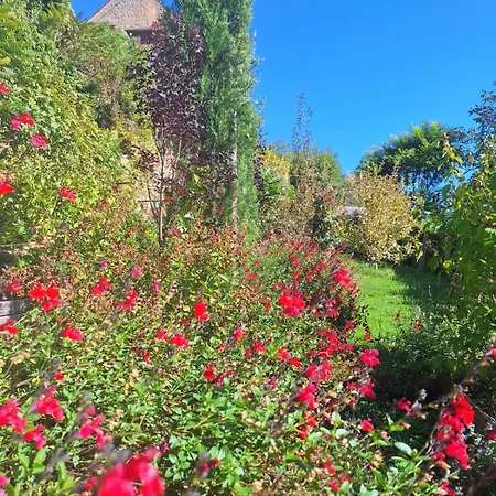 B&B Les Hauts De - D'hotes 돔므
