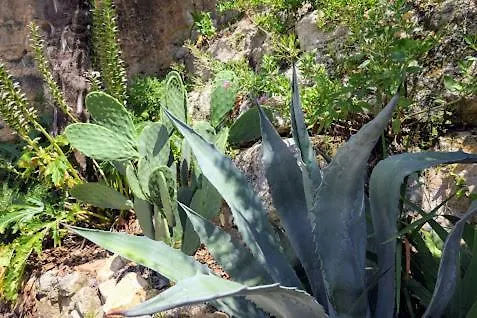 Les Hauts De - D'hotes 3* دوم