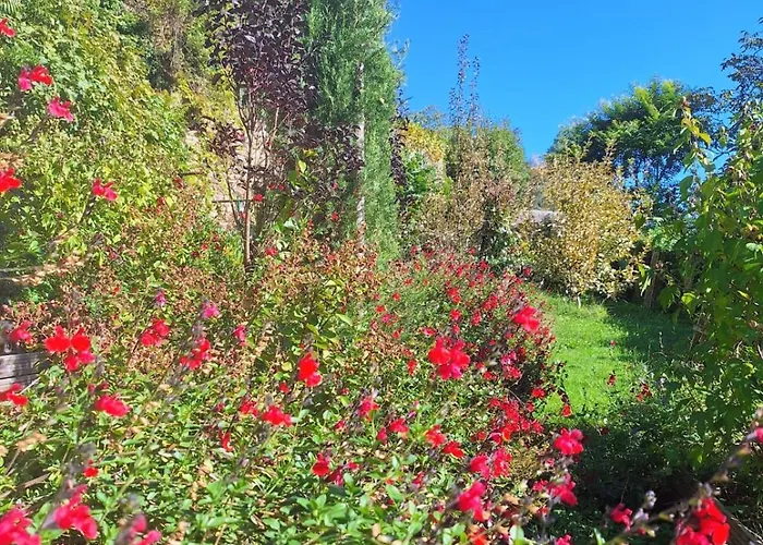 فندق مبيت وإفطار Les Hauts De - D'hotes دوم